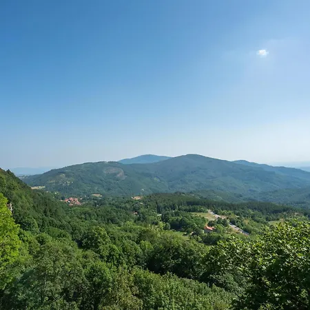 Castagno-gemme Del Casentino * Castel Focognano