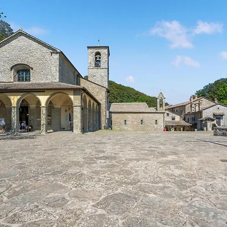 Castagno-gemme Del Casentino