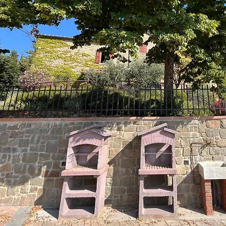 Castagno-gemme Del Casentino