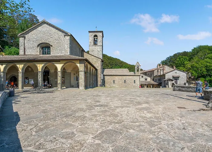 Castagno-gemme Del Casentino